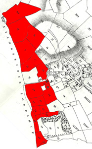 Tilsworth Manor Farm land in 1804